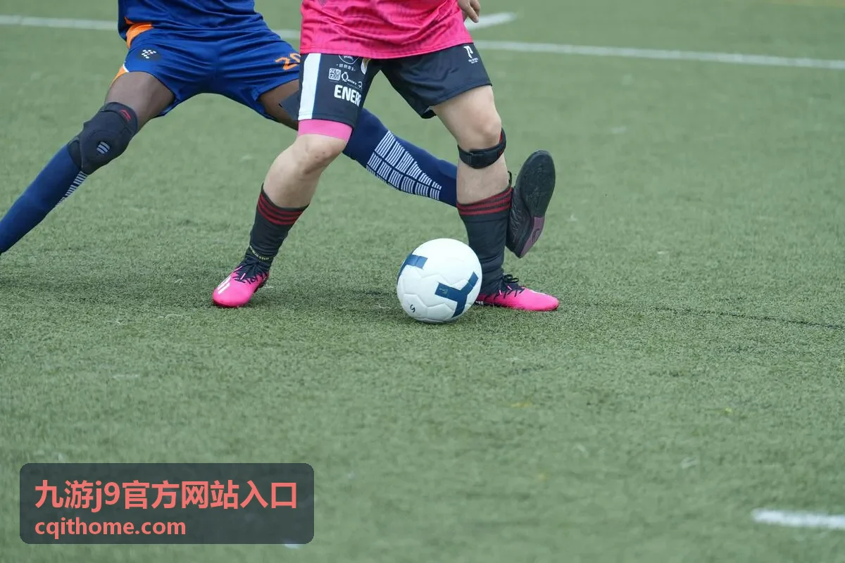 九游j9官方网站入口页面结构示意