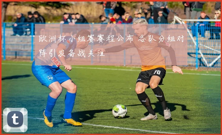 欧洲杯小组赛赛程公布 各队分组对阵引发备战关注