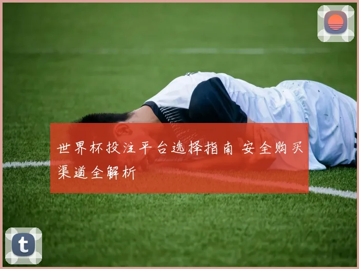 世界杯投注平台选择指南 安全购买渠道全解析