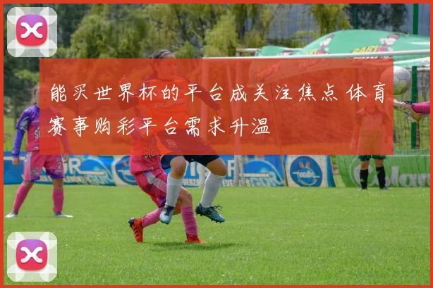 能买世界杯的平台成关注焦点 体育赛事购彩平台需求升温