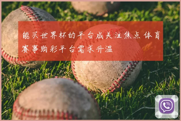能买世界杯的平台成关注焦点 体育赛事购彩平台需求升温