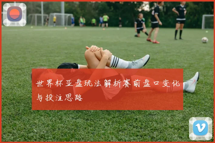 世界杯亚盘玩法解析赛前盘口变化与投注思路